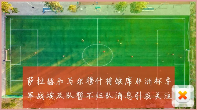 萨拉赫和马尔穆什将缺席非洲杯季军战埃及队暂不归队消息引发关注